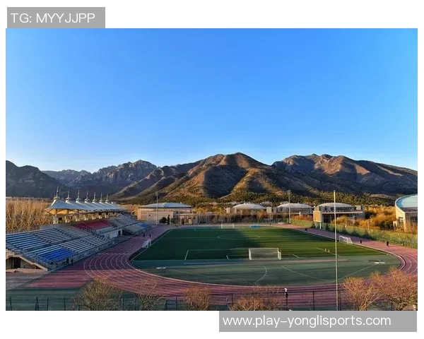 足球场的壮丽景观与激情瞬间展现了运动的魅力与团队的精神